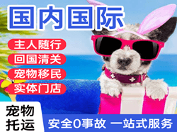 株洲芦淞机场货运国际宠物托运 【国